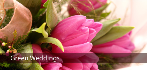 Event planning, Wedding planning and Innovation workshops - Profile